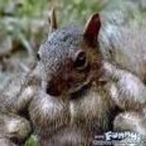 Profile Picture of David Madera (@273679329) on Myspace