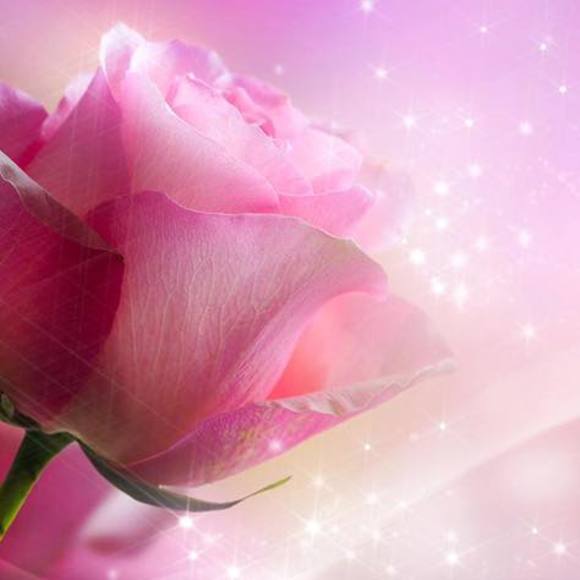 Profile Picture of Philsheena Adesina (@padesina) on Poshmark