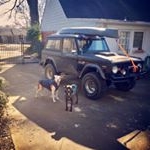 Profile Picture of Betty the Bronco (@memphisearlybronco) on Instagram