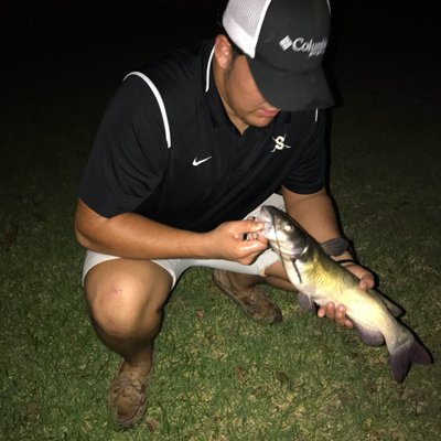 Profile Picture of Francisco Ledesma (@bigdawg_ledesma) on Twitter