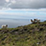 Profile Picture of Melba Atkinson (@Melba Toast2010) on Flickr