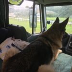 Profile Picture of Julia Biddle (@julia.biddle) on Instagram