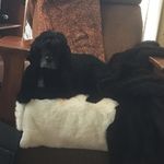 Profile Picture of David Coons (@david.coons.142) on Instagram