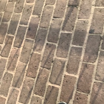 Profile Picture of Brayden Ferguson (@BraydenFerguso6) on Twitter