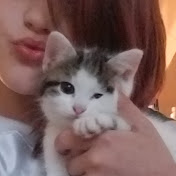 Profile Picture of Addison Andrews-Sylvester (@addisonandrews-sylvester8320) on Youtube