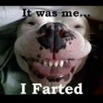 Profile Picture of 👑 💁HANNAH RIGGS💅👑 (@2_infinity_and_beyond_4) on Instagram