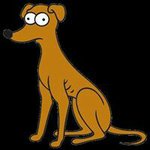 Profile Picture of Lucas McFadden (@pwrjinjin) on Instagram