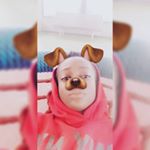 Profile Picture of 🥵TYGER KINGS🥵 (@_.tyger.james._) on Instagram