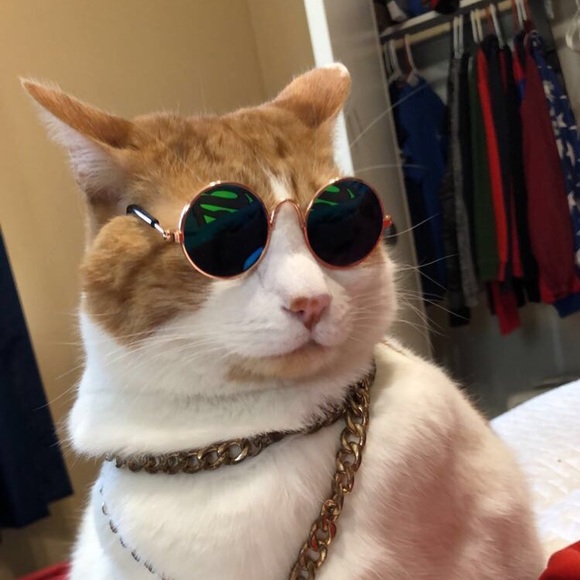 Profile Picture of Alex Noble (@alexnob) on Poshmark