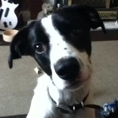 Profile Picture of Leah Bradley :) (@LeahbradleyLeah) on Twitter