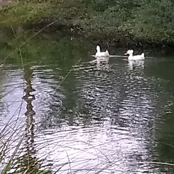 Gabriela Magras - Poshmark Profile Picture of Gabriela Magras (@gabmag156) on Poshmark