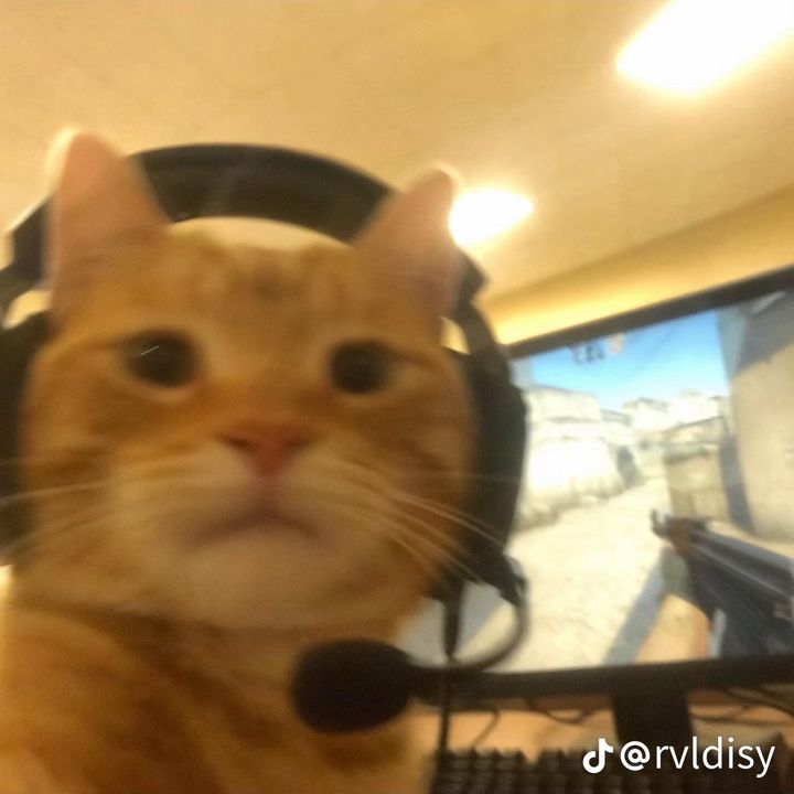 Profile Picture of Adam (@_adamcoe_) on Tiktok