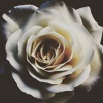 Profile Picture of Devotha Bertram (@bertania_the_dbg) on Instagram