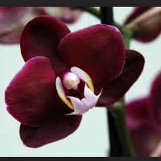 Profile Picture of Harold Towell (@harold.towell.7) on Facebook