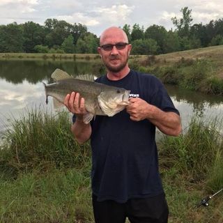 Profile Picture of Joel Blanks (@joel.blanks.7) on Instagram