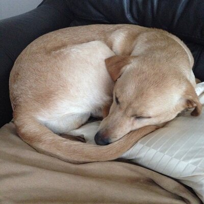 Profile Picture of Jay Mccrossan (@jaymcc2014) on Twitter