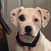 Profile Picture of Tamara Eckert (@tamaraeckert2038) on Youtube