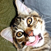 Nick Rivers - Youtube Profile Picture of Nick Rivers (@nickriversdesign) on Youtube