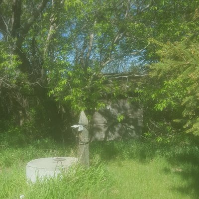 Profile Picture of Eric Almberg (@JimmyTheLid) on Twitter