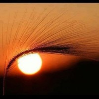 Profile Picture of Vinesh Raj (@vinesh-raj-6) on Quora