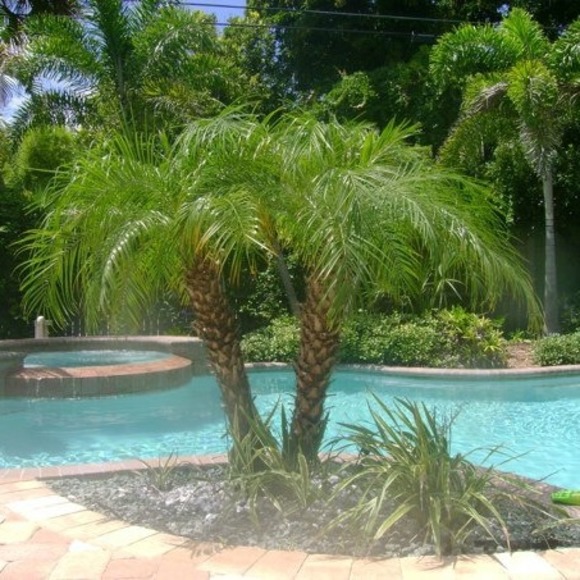 Profile Picture of Karen Braxmeier aulisio (@karenbraxmei493) on Poshmark