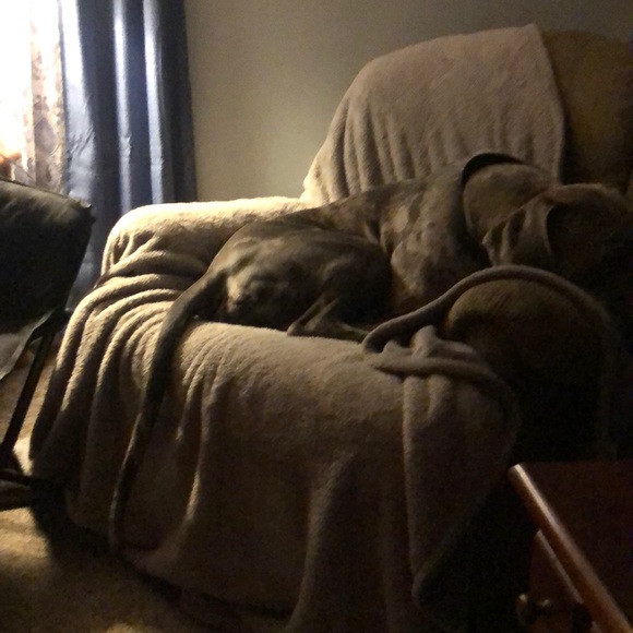 Profile Picture of Jennifer Kulpinski (@kulpinski09) on Poshmark