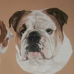 Profile Picture of Joanne Simpson-Connor (@jopetportraits) on Instagram