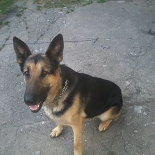 Profile Picture of Dawid Kozub (@Dawid-Kozub) on Facebook