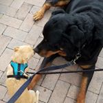 Profile Picture of Brianne Hayden (@bhayden513) on Instagram