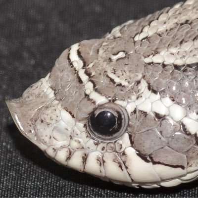 ANDREW  FRETWELL - Twitter Profile Picture of ANDREW  FRETWELL (@HAZIFLAD) on Twitter