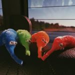 Profile Picture of henry, kevin, oscar & cricket (@4.worms.on.a.string) on Instagram