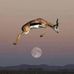 Profile Picture of David Randall (@david.randall.1272) on Facebook