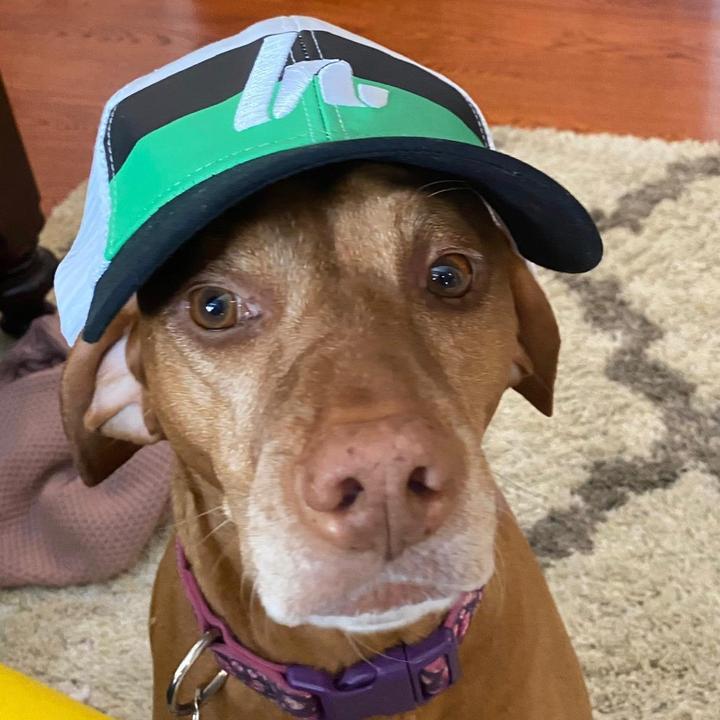 Profile Picture of Derek Casey (@derekcasey47) on Tiktok