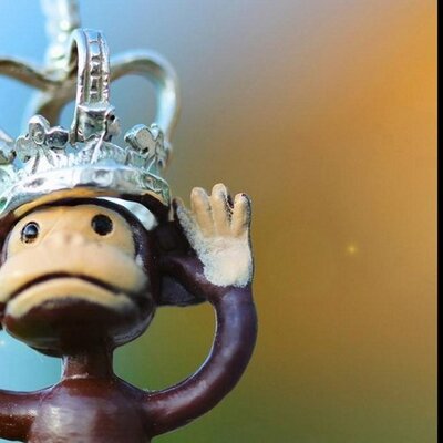 Profile Picture of Robert Beech (@imonkey10) on Twitter