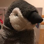 Profile Picture of Percy Reynolds (@percys_great_adventures) on Instagram