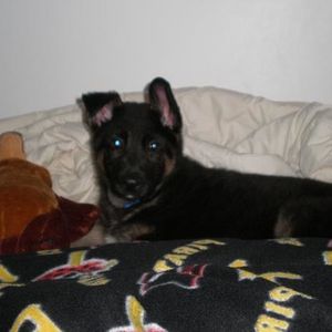 Profile Picture of Ian Emmett (@enmit) on Myspace