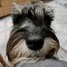 Profile Picture of Анна Мокрушина (@Анна-Мокрушина) on Facebook
