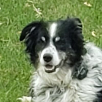 Profile Picture of Gordy Thomas (@GordyThomas1) on Twitter