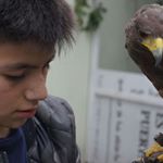 Gino Hernandez - Instagram Profile Picture of Gino Hernandez (@gino.equihua.127) on Instagram