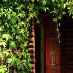 Profile Picture of Eleanor_Kessler (@eleanor_kesslerm) on Instagram