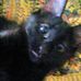 Profile Picture of Lori Muth Key (@lori.key.522) on Facebook