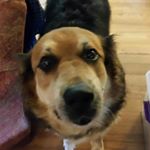 Profile Picture of Linda Kronoff (@mamah_jon) on Instagram