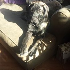 Profile Picture of Asher Walker (@AsherWalker9) on Twitter