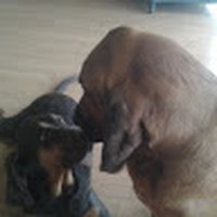 Profile Picture of Jr Wilks (@jr-wilks) on Quora