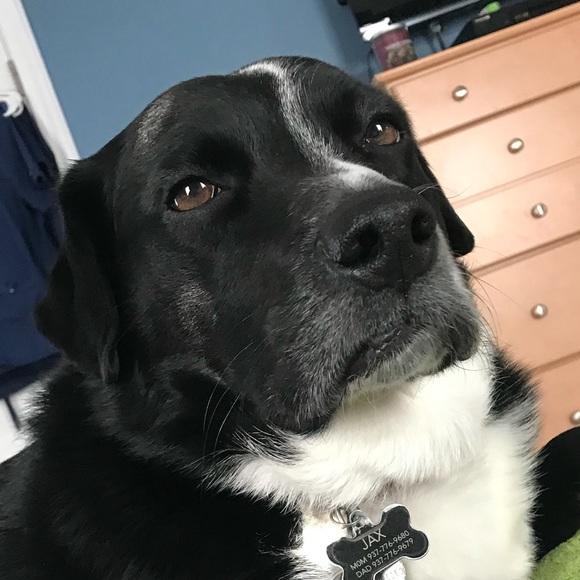 Profile Picture of Matt Dye (@mattd374) on Poshmark