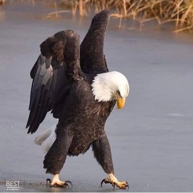 Profile Picture of Adam4rak (@adam4rak) on Twitter