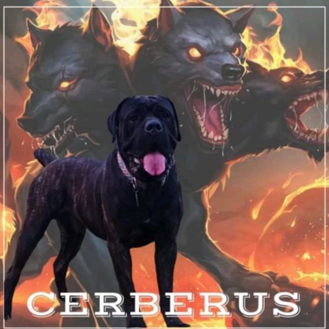 Profile Picture of Scott Leach (@scottleach71) on Tiktok