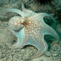 Profile Picture of Robert Rawlings (@robert-rawlings) on Quora