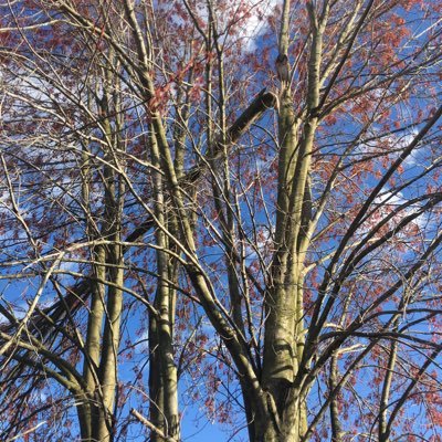 Profile Picture of Darin Henry (@DarinHenry11) on Twitter