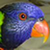 Profile Picture of Craig Lumsden (@Craig Lum) on Flickr